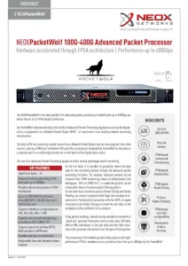 PacketWolf Packet Processing Appliance - _Datasheet Download