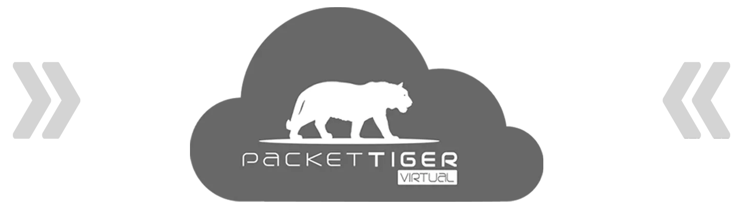 Virtual Network Packet Broker