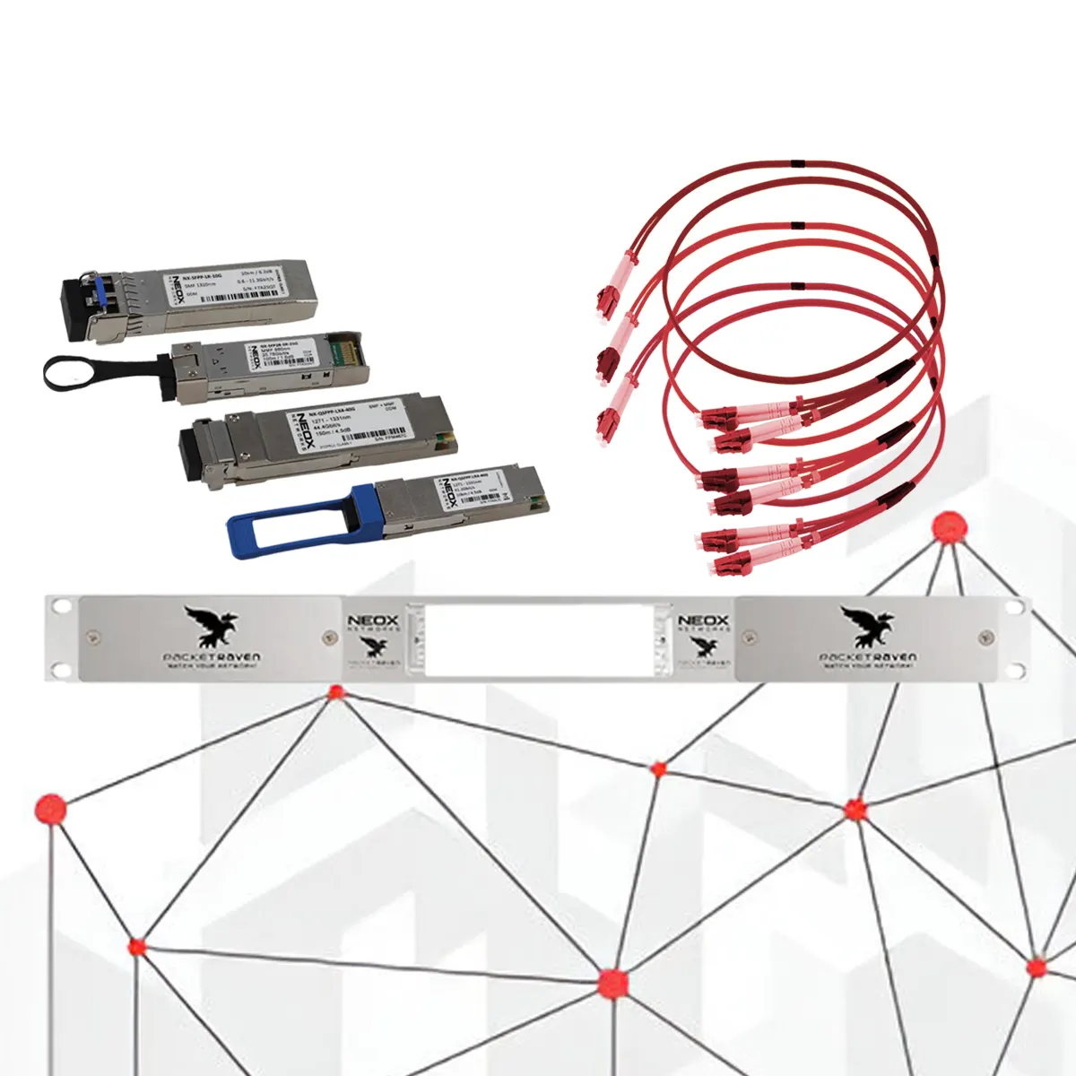 Portable Network TAP 