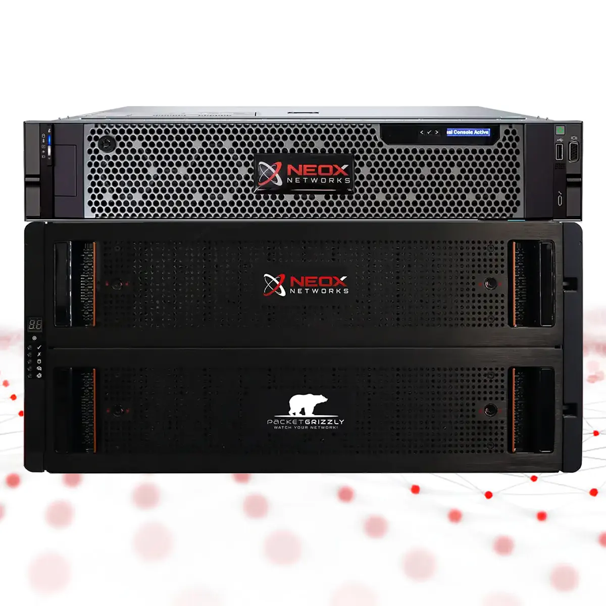 PacketGrizzly Packet Capture Appliance