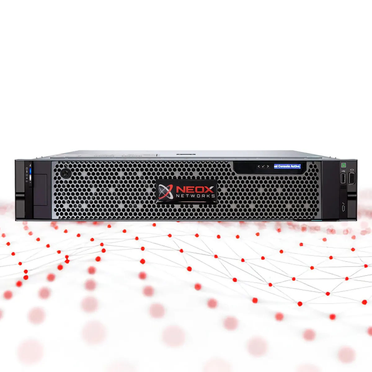 PacketGrizzly Packet Capture Appliance