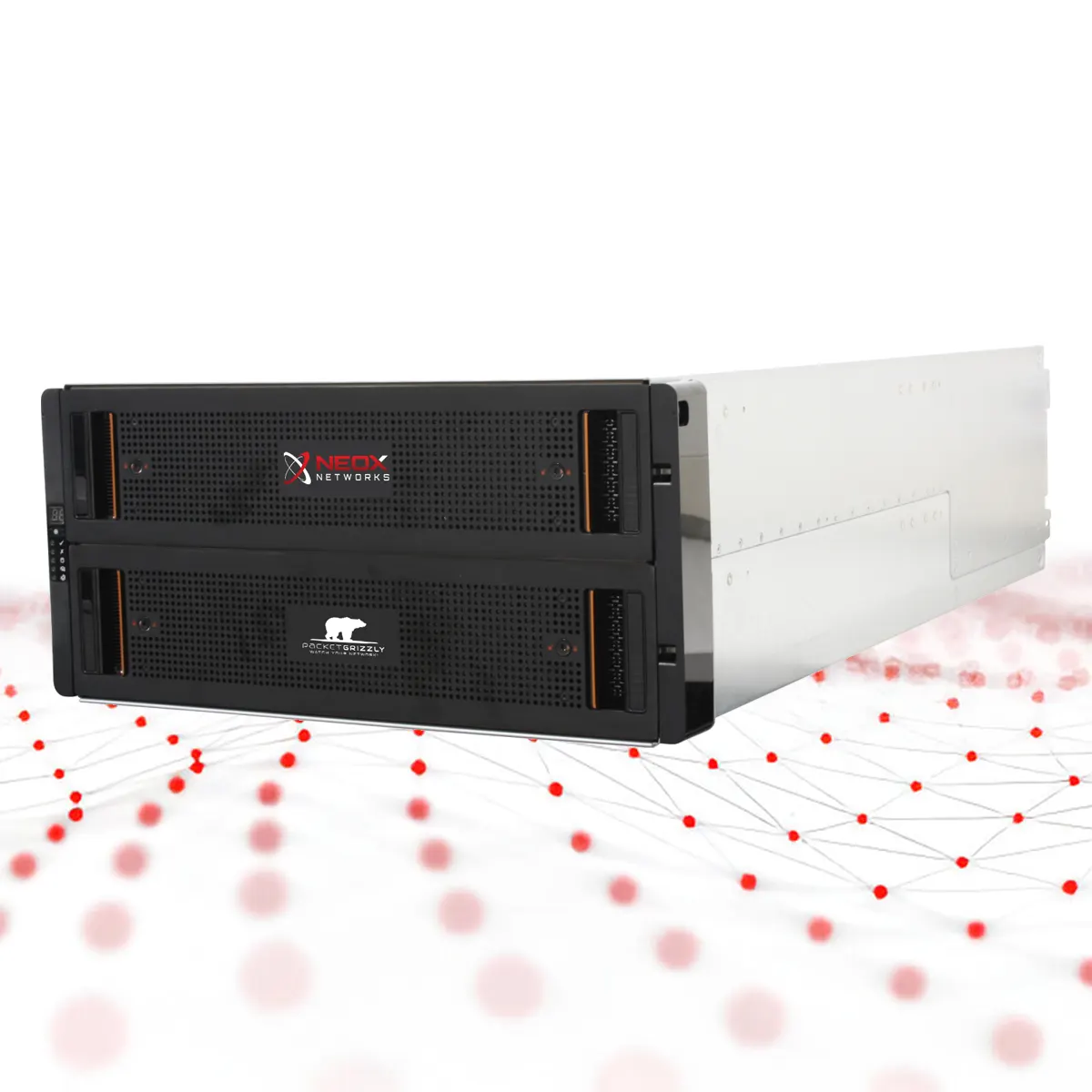 PacketGrizzly Packet Capture Appliance