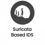 Network Intrusion Detection System (NIDS)