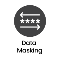 Data Masking