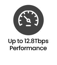 Network Packet Broker