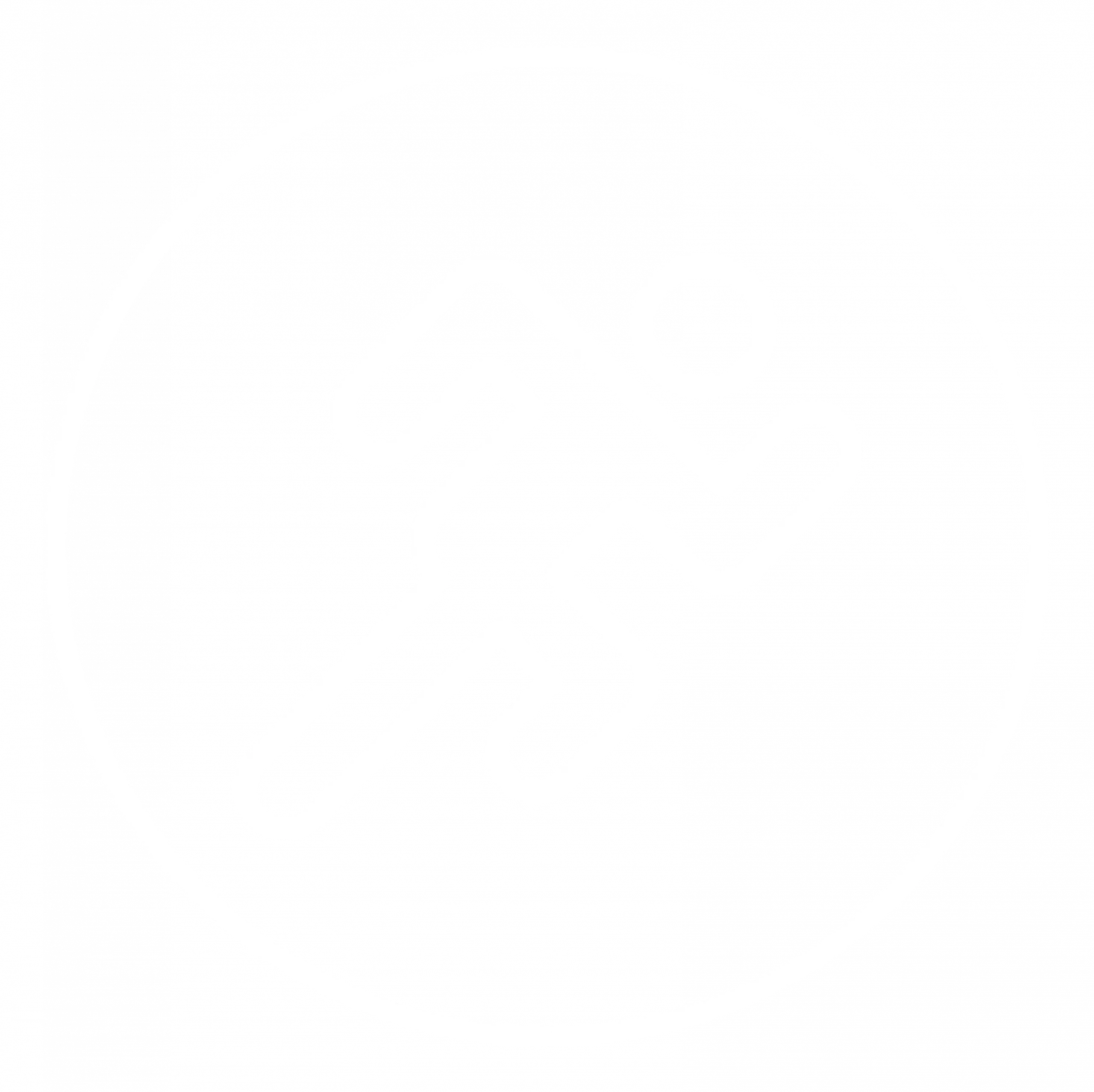 Avanzado Network Packet Broker