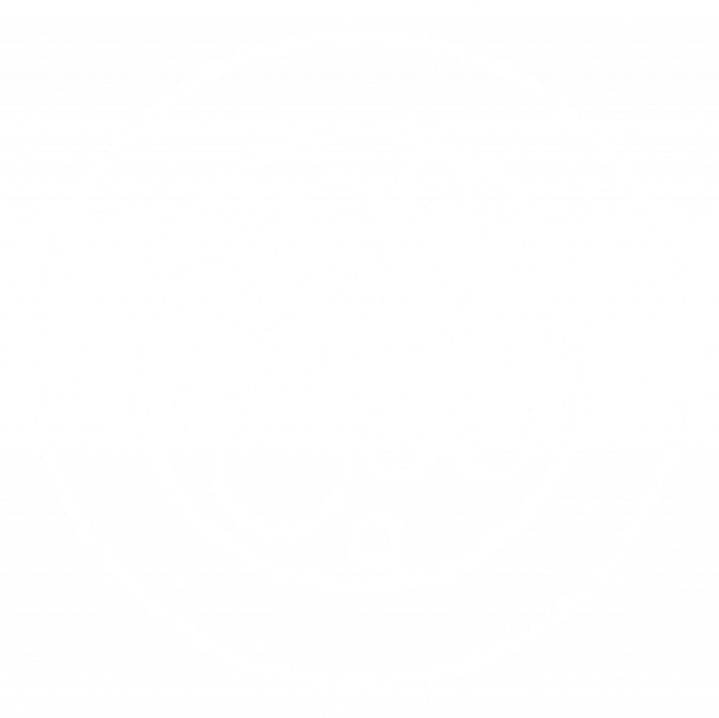 PacketRaven Modular Network TAP