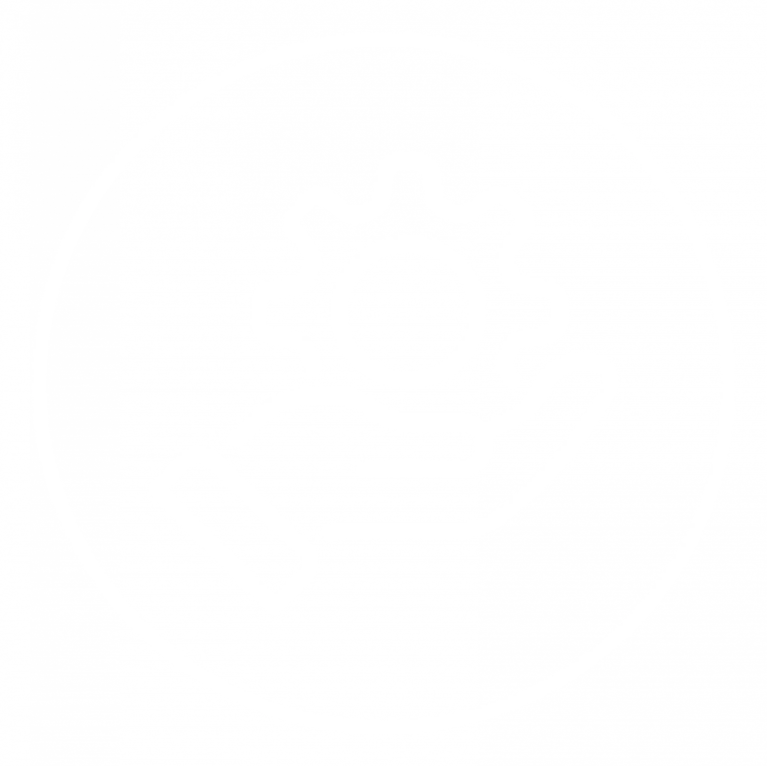 Avanzado Network Packet Broker