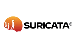 Network Security Monitoring (NSM)