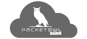 Network Security Monitoring (NSM)