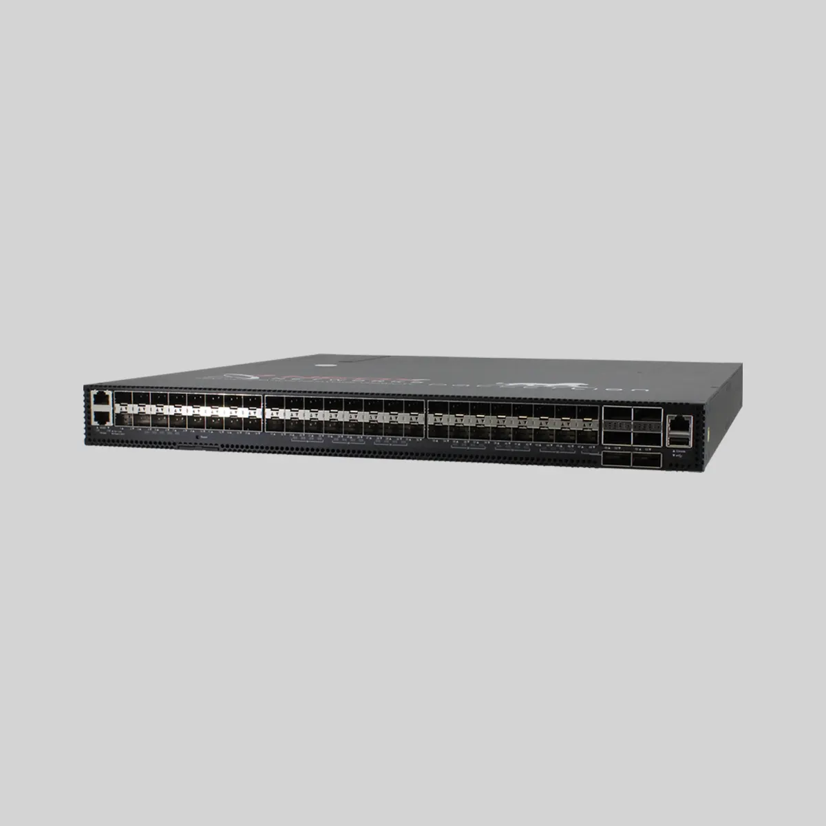 PacketLion Network Packet Broker