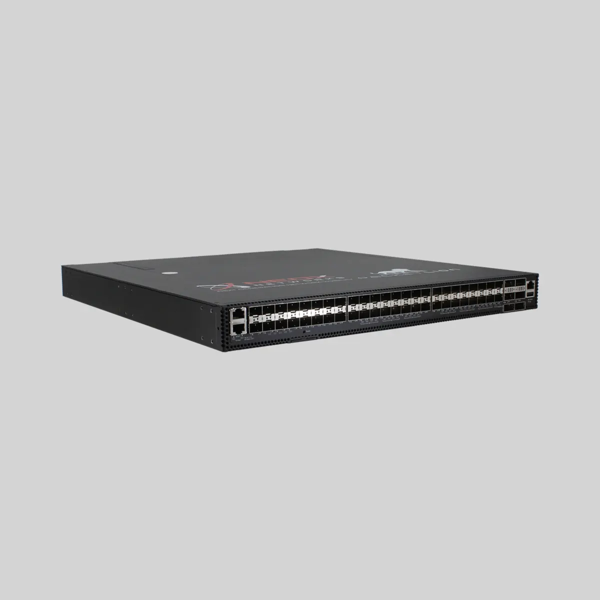 PacketLion Network Packet Broker