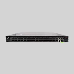 PacketLion Network Packet Broker