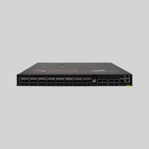 PacketLion Network Packet Broker