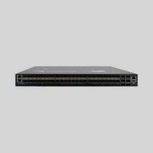 PacketLion Network Packet Broker
