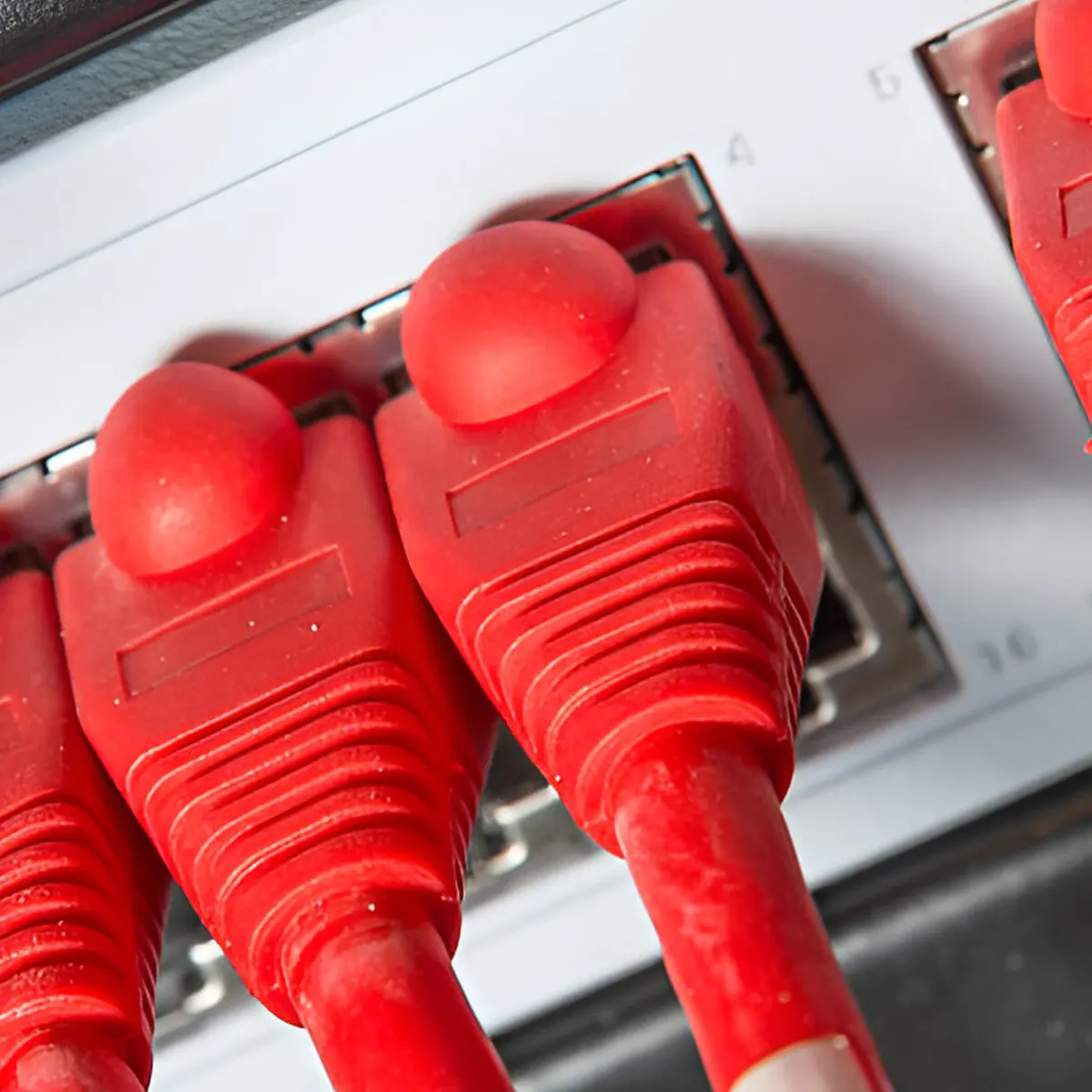 Ensuring Network Performance and Reliability