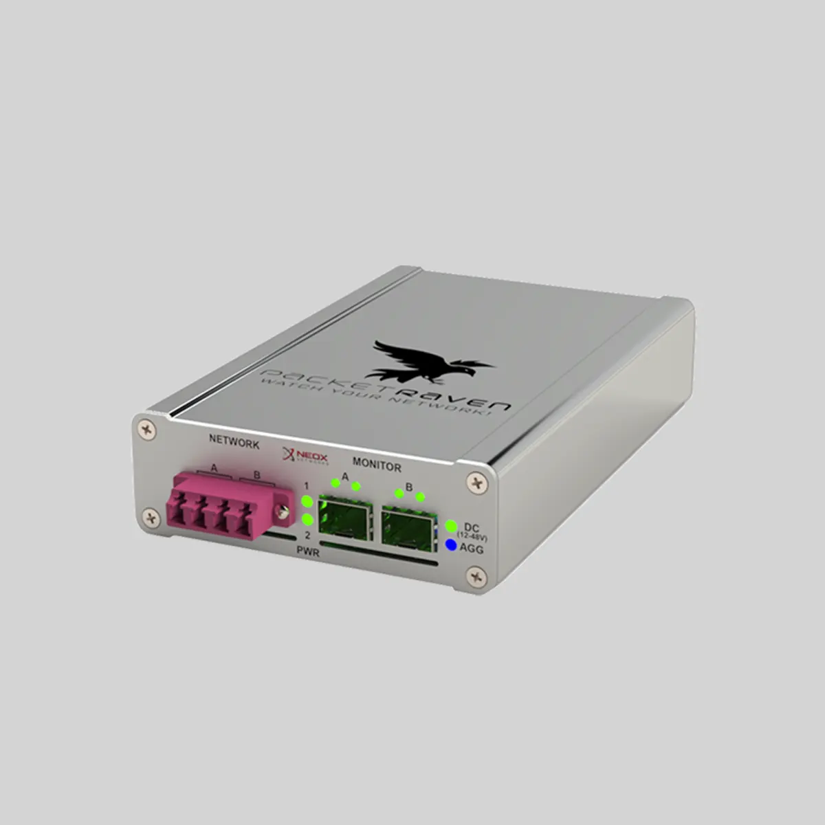 Portable Network TAP