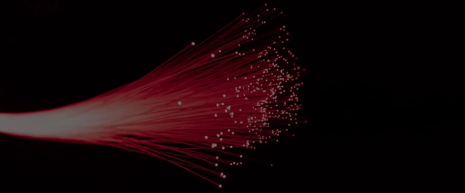 Contamination des connecteurs de fibre optique