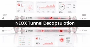 Tunnel Decapsulation